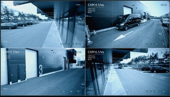 Autumn Security: Integrating Dogs, Guards, and Tech for Businesses