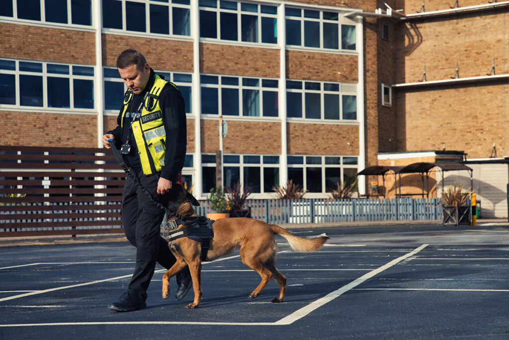 Circle Guard patrolling with security dog